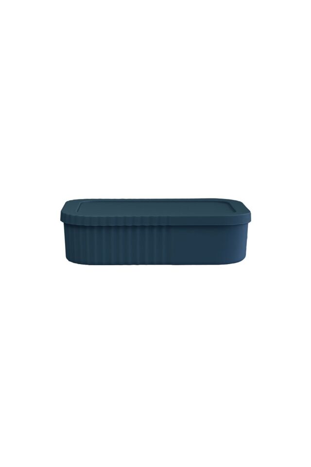 4 Adet Çok Amaçlı Kapaklı Mini Box Mutfak Banyo Makyaj Saklama Kutusu Mini Kutu 3 Litre