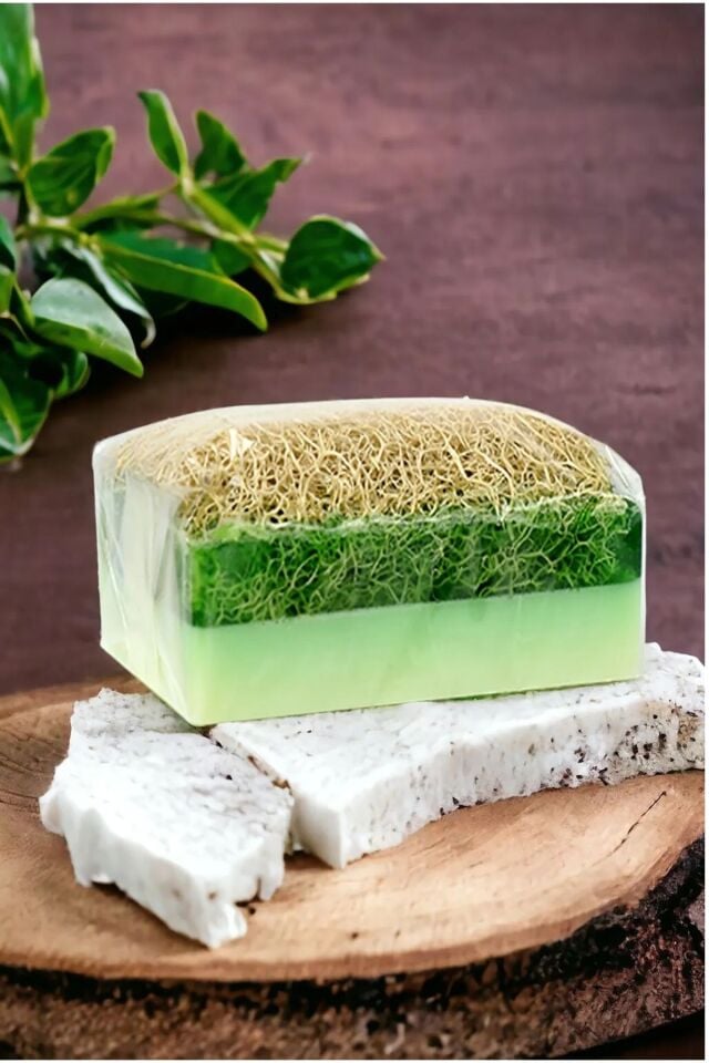 Dükkanönü Aloe Vera Kabak Lifli Sabun 100Gr